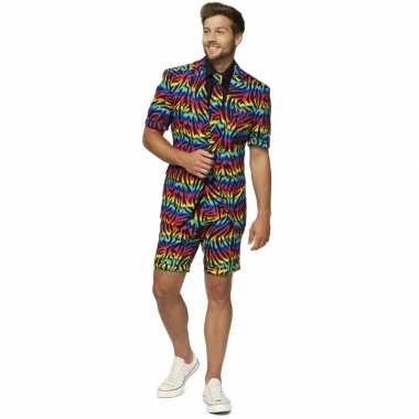Carnaval heren verkleed zomer kostuum/kostuum zebra regenboog print